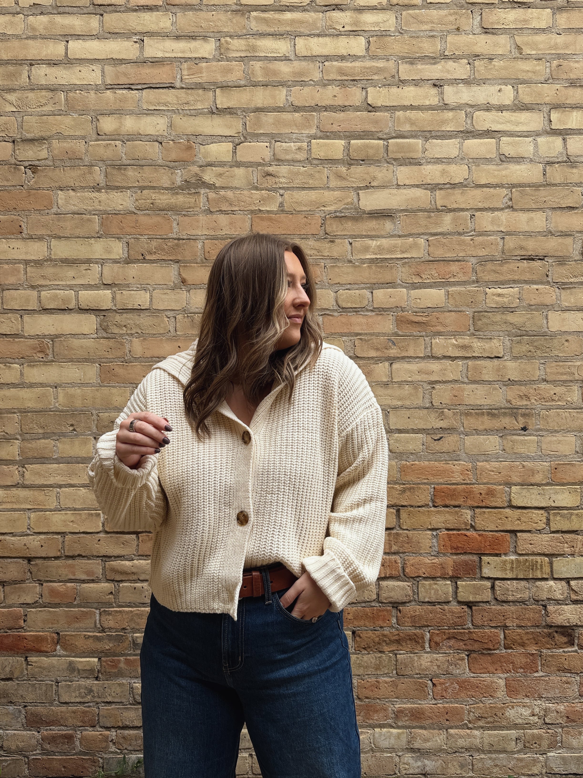 Button Front Lapel Long Sleeve Knit